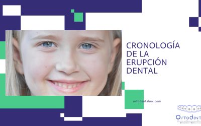 Cronología de la erupción dental