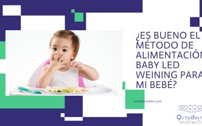 ¿Es bueno el método de alimentación Baby Led Weining para mi bebé?