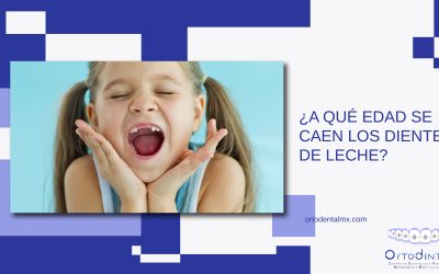 ¿A qué edad se caen los dientes de leche?