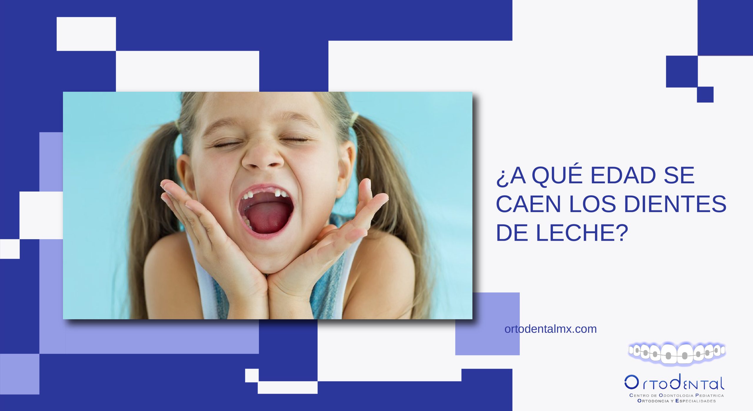 ¿a Qué Edad Se Caen Los Dientes De Leche Ortodental