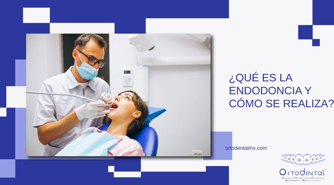 ¿Qué es la endodoncia y cómo se realiza?